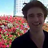 comiccon_latimes_054.png