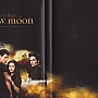 dvd_italiano_luanova_001.jpg