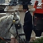 Matrícula=bastidores_belami_177.jpg
Tamanho=21KB
Dimensão=226x400
Data Envio=11 Abr 2010 bastidores_belami_177.jpg