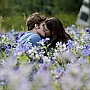 stills_eclipse_020.png