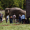 Matrícula=bastidores_wfe_023.jpg
Tamanho=188KB
Dimensão=800x546
Data Envio=03 Jun 2010 bastidores_wfe_023.jpg