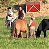 Matrícula=bastidores_wfe_014.jpg
Tamanho=49KB
Dimensão=512x361
Data Envio=06 Jun 2010 bastidores_wfe_014.jpg