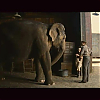 screencaps_wfe_004.jpg