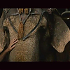 screencaps_wfe_012.jpg