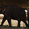 screencap_wfe_1528.jpg