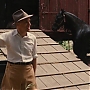 screencap_wfe_735.jpg
